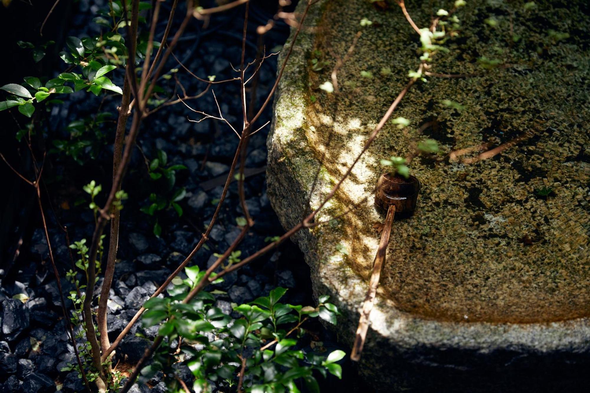Yadoru Kyoto Hanare Mizunoe No Yado Exteriör bild